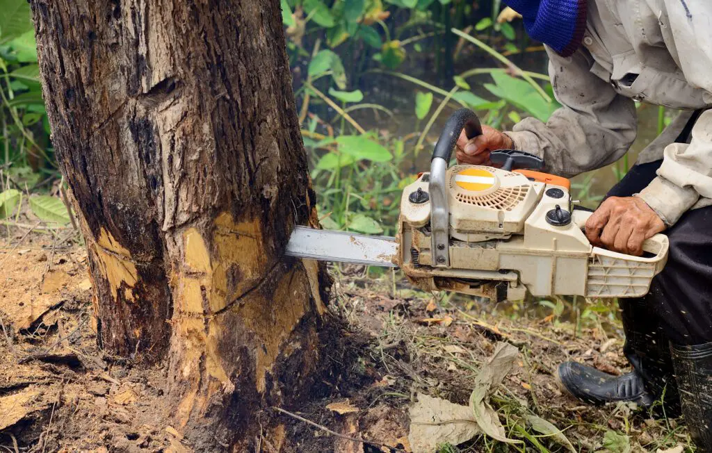 Selective tree removal methods