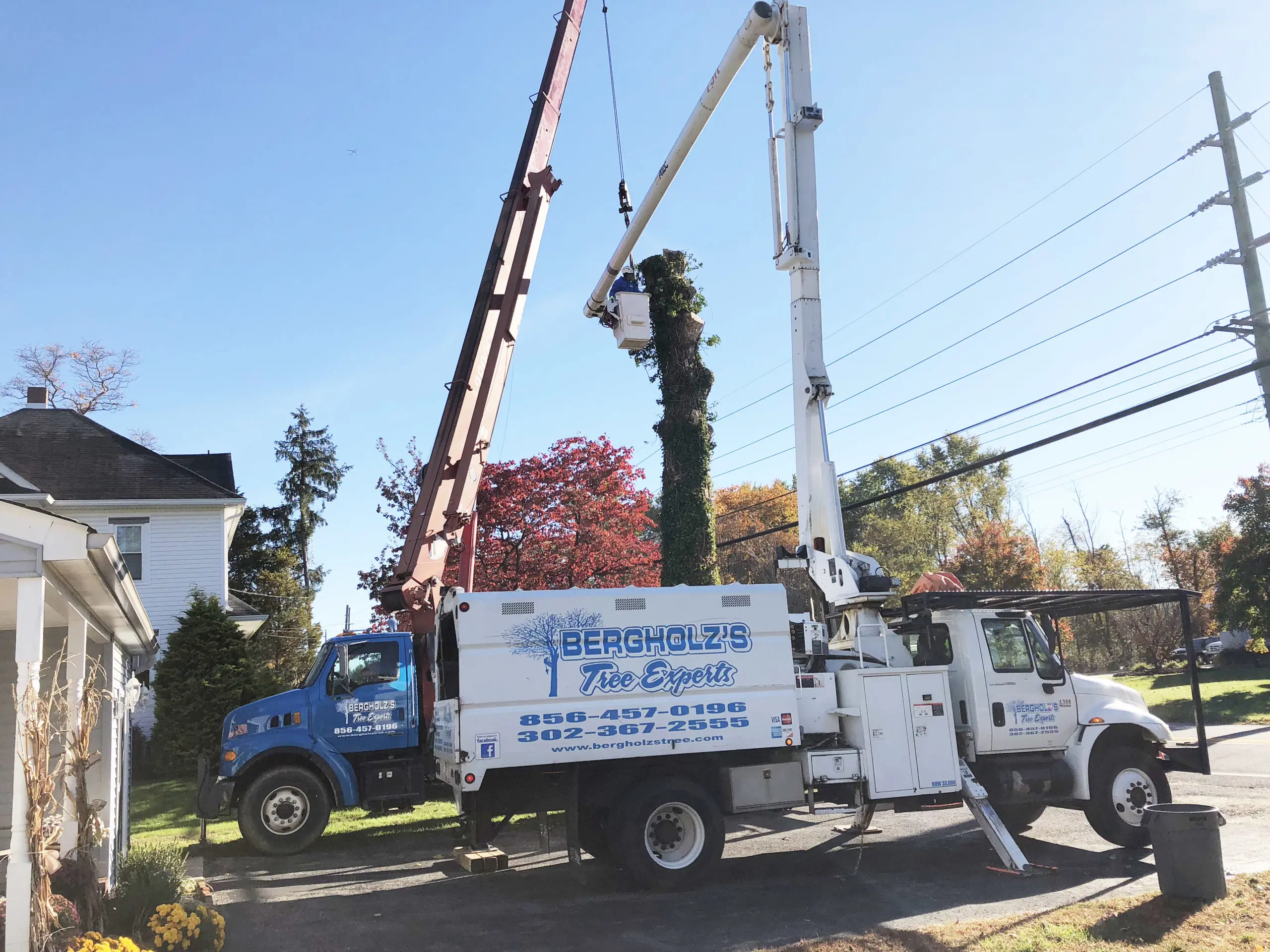 Bergholz's Tree Experts bucket truck trimming trees at a residential property