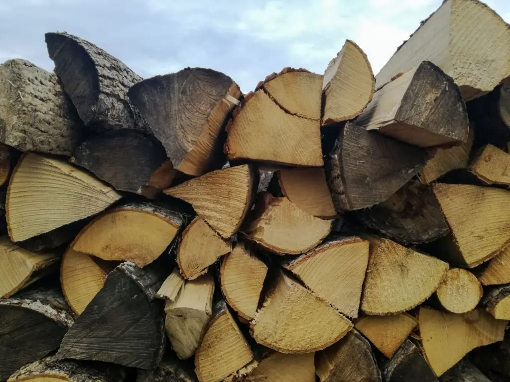 Tree Removal