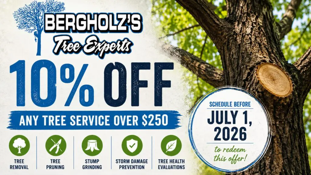 Why Summer Trees Are Suddenly Failing Across South Jersey