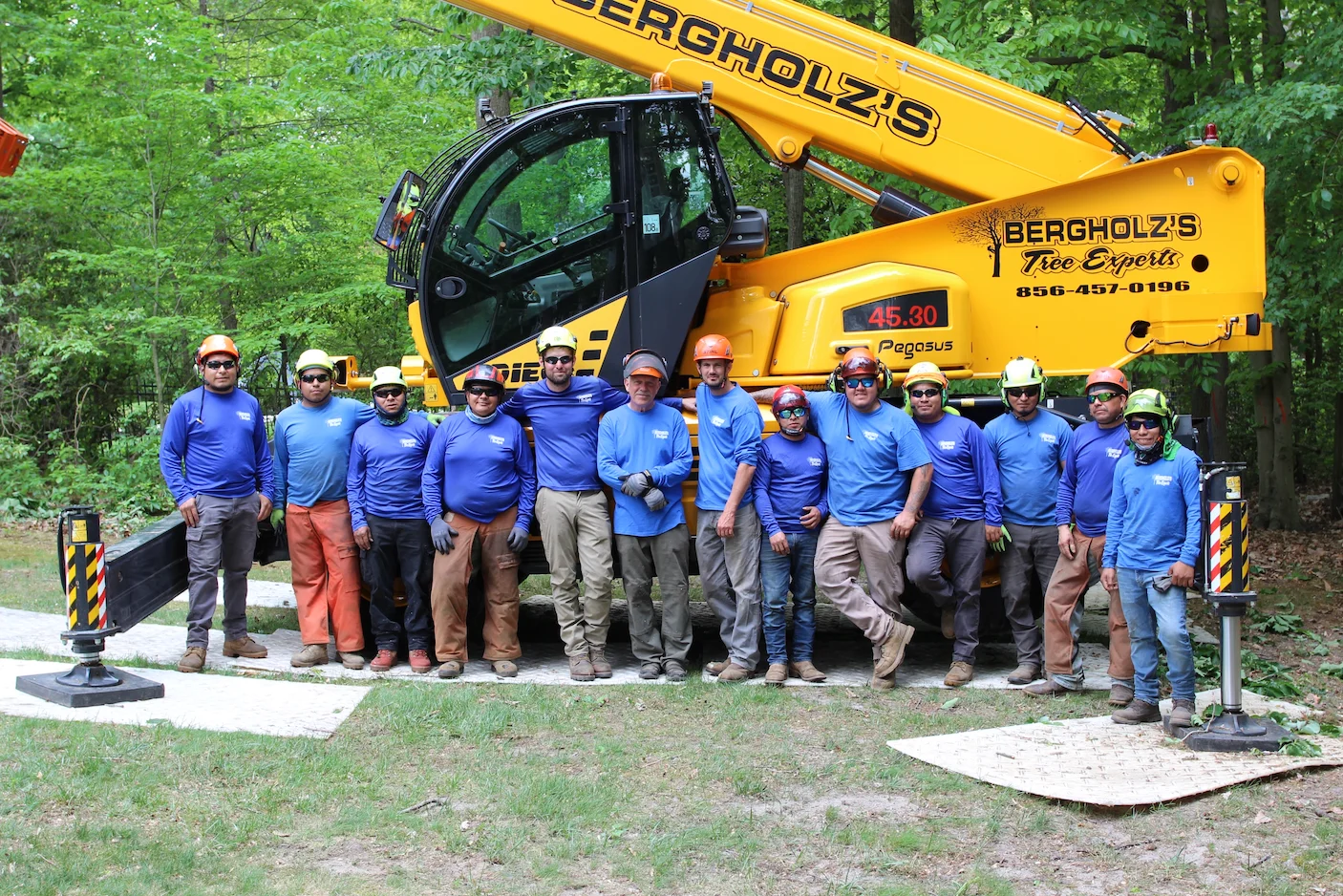 Best Tree Service in Salem County
