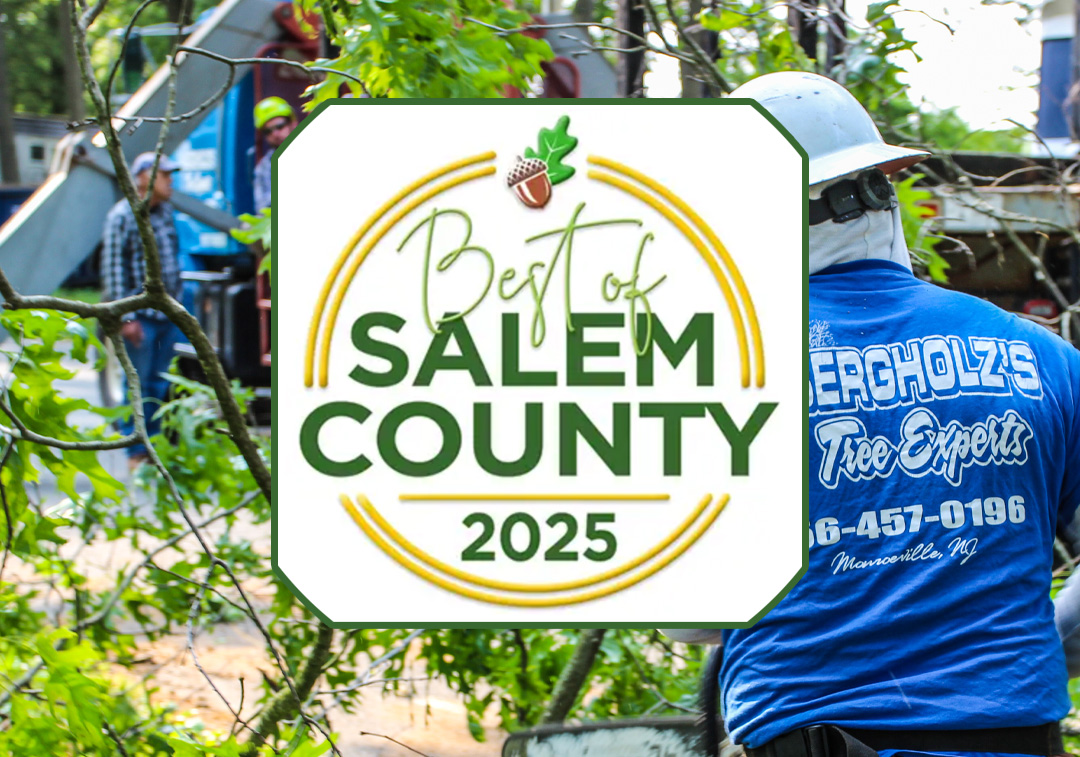 Best of Salem County 2025