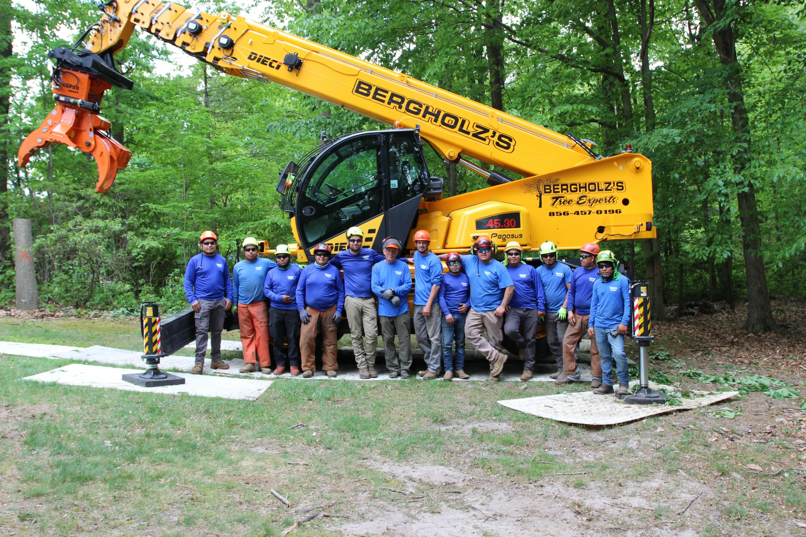 Professional performing-routine-tree-maintenance-on-large-tree-branches