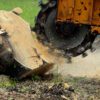 Stump Grinding in New Jersey