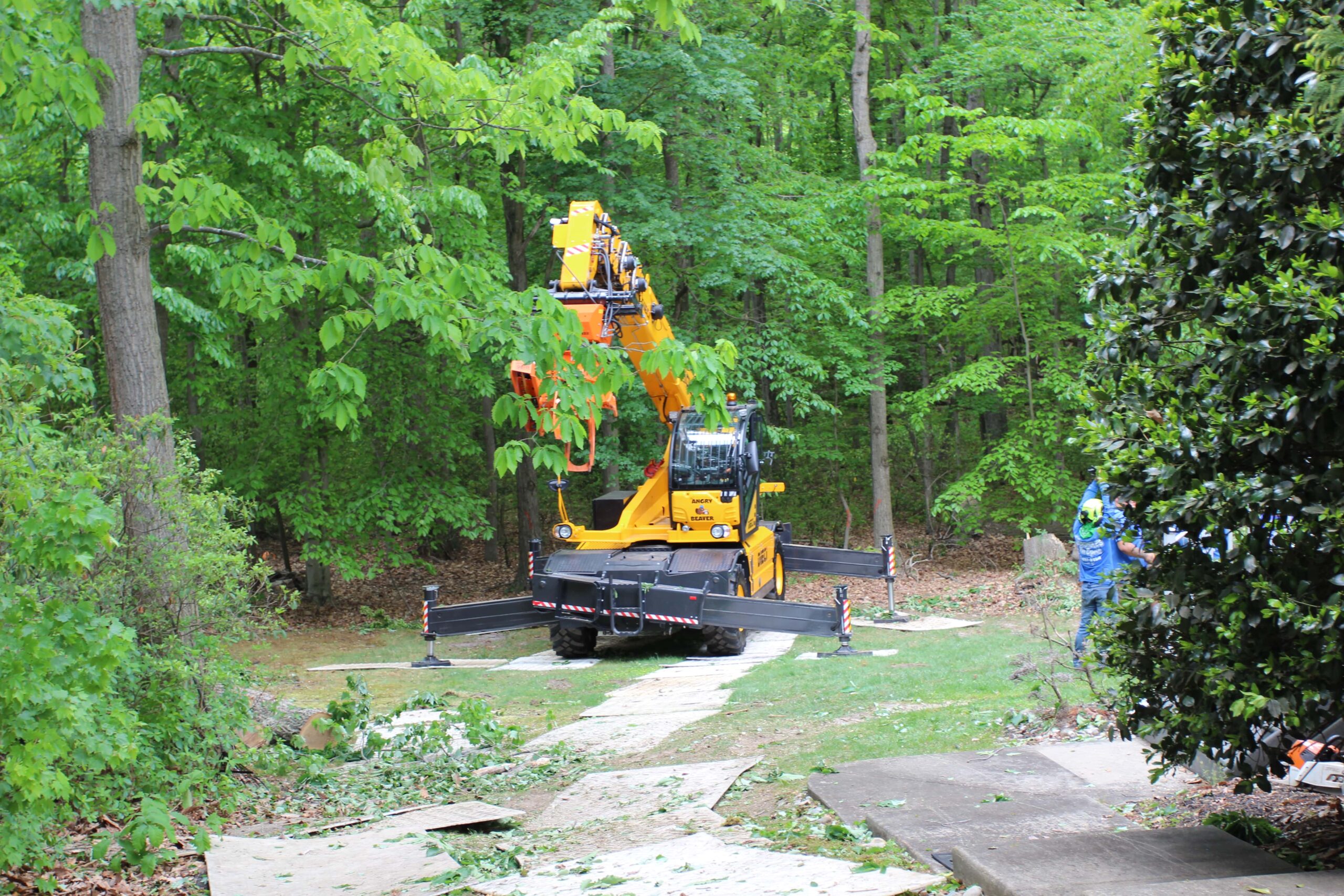 Why Professional Cleanup Matters After Tree Removal