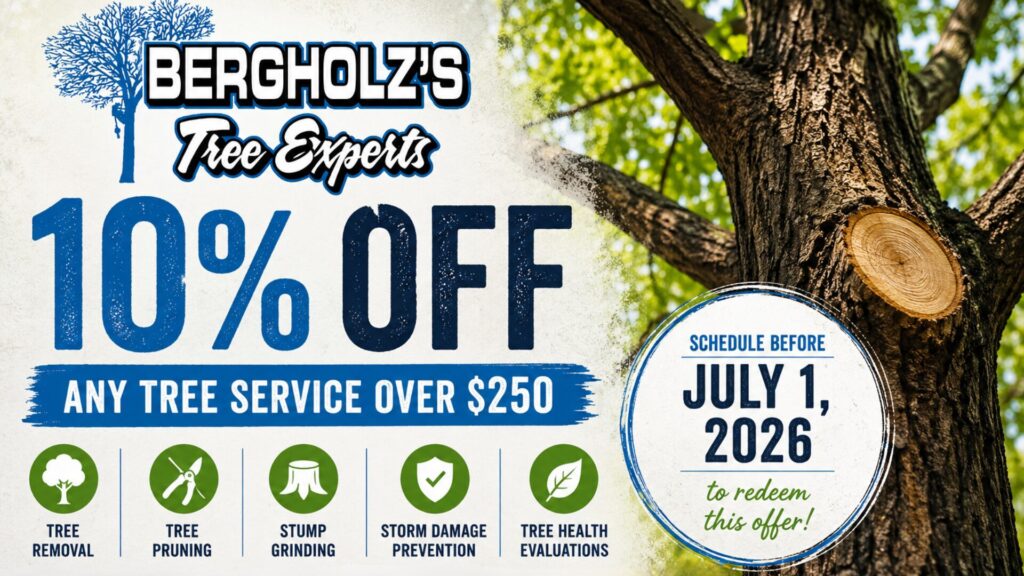 Why Summer Trees Are Suddenly Failing Across South Jersey