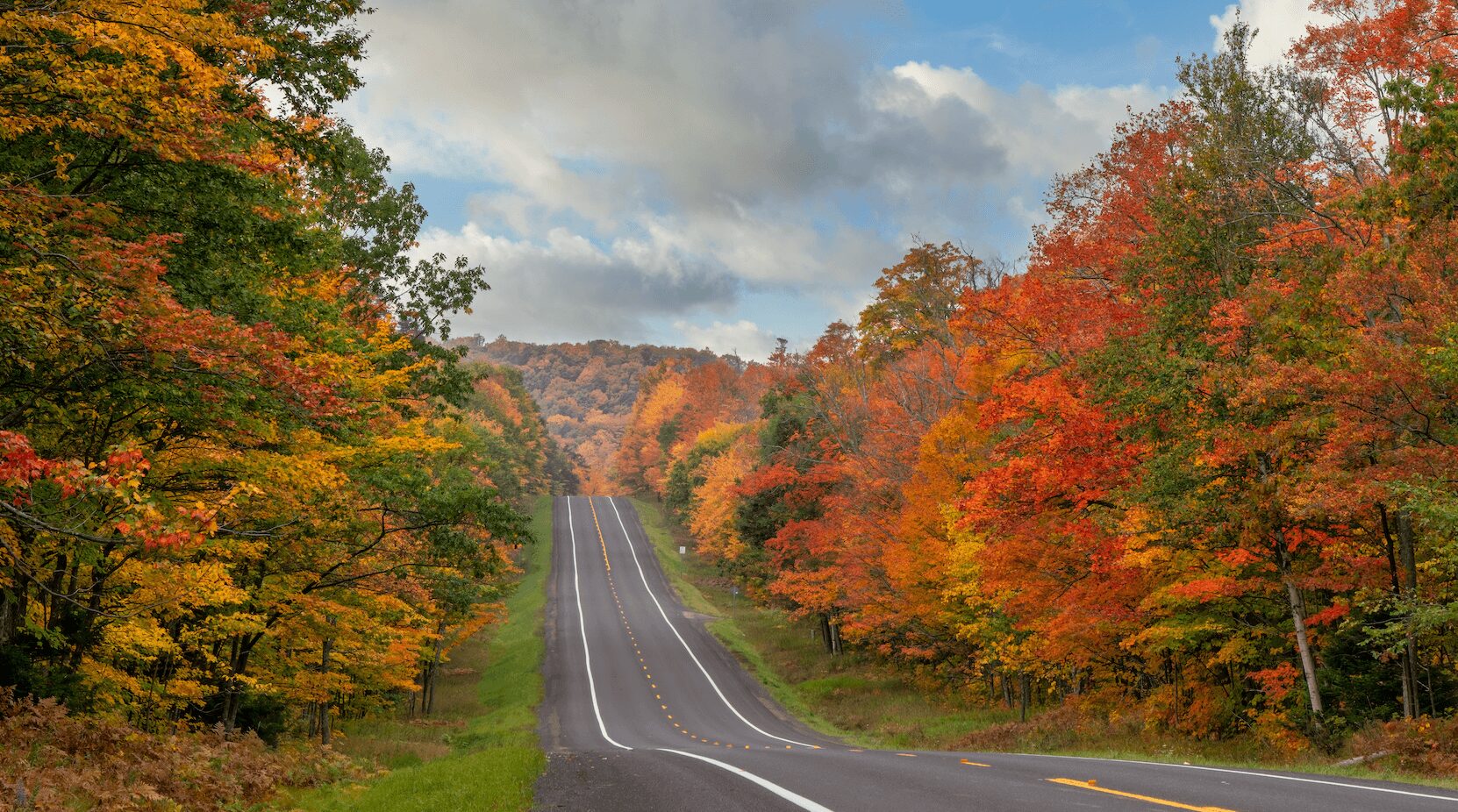 Fall foliage in Southern New Jersey