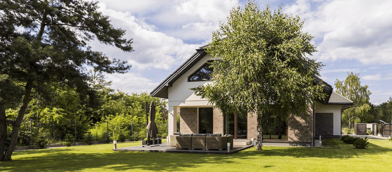 Tree Triming and Removal Services
